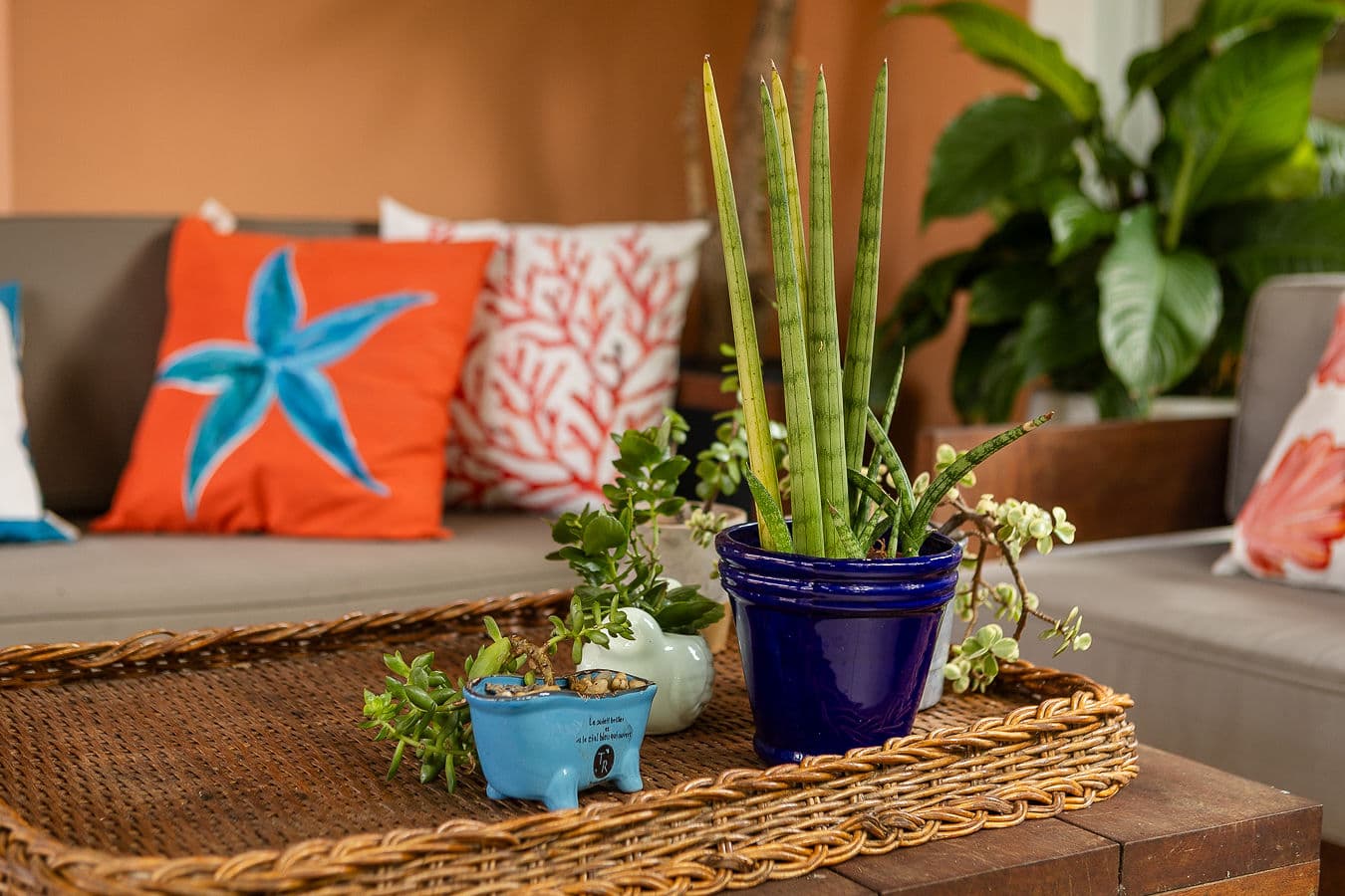 Detalhe de almofadas coloridas e plantas na varanda