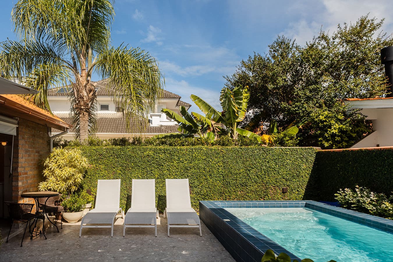 Piscina com palmeira e jardim ao redor
